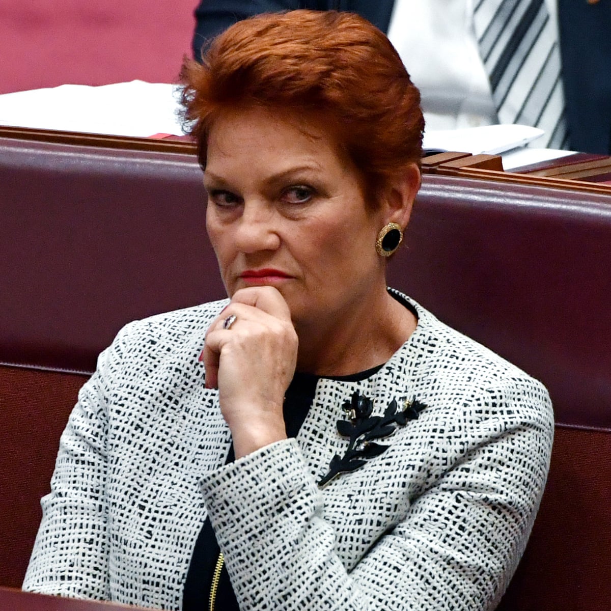 Pauline Hanson drops legal action against ABC to prevent ...