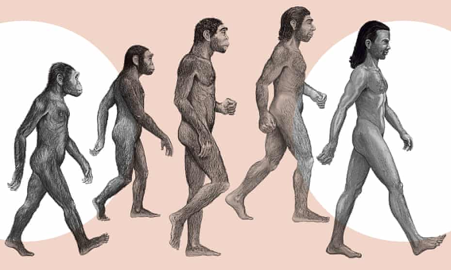 Tracing The Tangled Tracks Of Humankind S Evolutionary Journey Evolution The Guardian Tracing The Tangled Tracks Of Humankind S Evolutionary Journey Evolution The Guardian