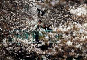 Tokyo, Japan A man photographs cherry blossom standing on bridge with woman