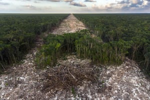 The devastating path of a new cross-country tourist railway line in Paamul, Quintana Roo, Mexico