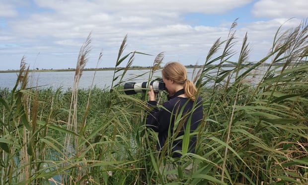 Georgia Angus out bird spotting: ‘it was this appreciation that drove my late-night illustration sprees, drawing whistlers, kites and quail, long days of writing and labyrinthine phone calls with passionate birdwatchers’ Photograph: Georgia Angus
