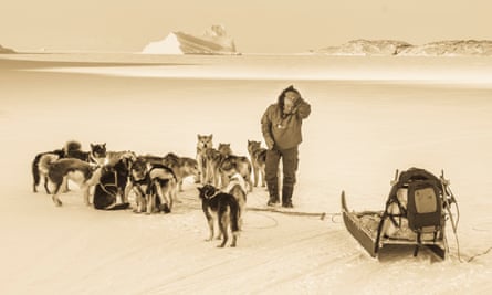 musher, sled and dogs on frozen landscape
