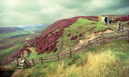 A view of the North York Moors national park near Newton Dale.