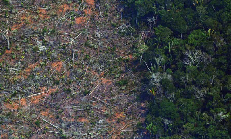 Outcry From Environmentalists As Brazil Fires Official Monitoring Deforestation Brazil The Guardian Outcry From Environmentalists As Brazil Fires Official Monitoring Deforestation Brazil The Guardian