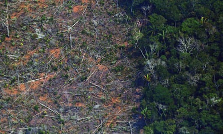 An aerial photo shows a deforested piece of land in the Amazon rainforest near Porto Velho, Brazil, on 23 August 2019.