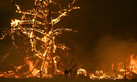 A tree burns during the New South Wales bushfires