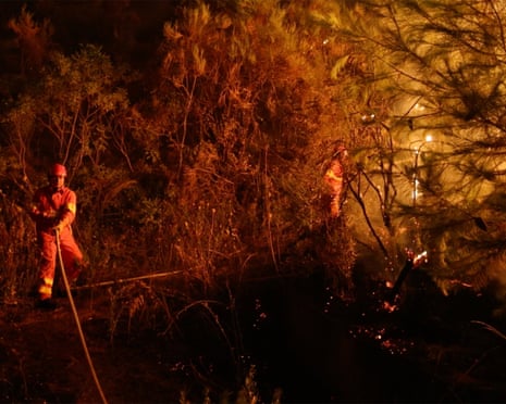 Firefighters in a dense area of trees spray water at a fire