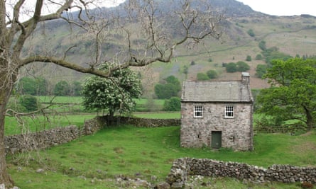 bird how - exterior -