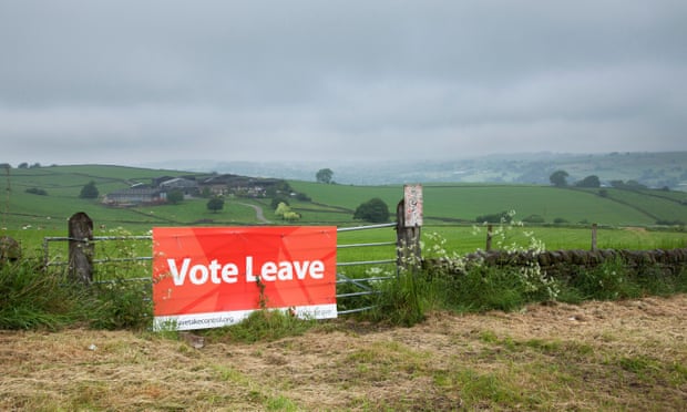 A Leave campaign on a Derbyshire farm. UK farmers receive about £3bn a year via EU subsidies.