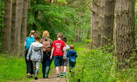 Mothers and children walking on forest trail in woodland