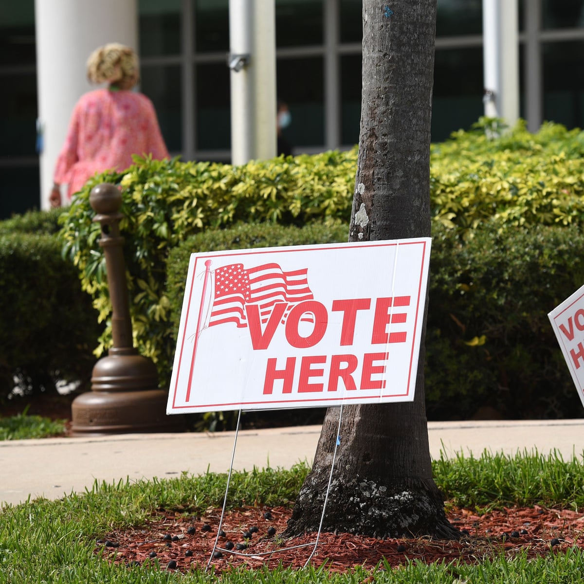International Body Says Voting Problems Could Harm Integrity Of Us Election Us Elections 2020 The Guardian
