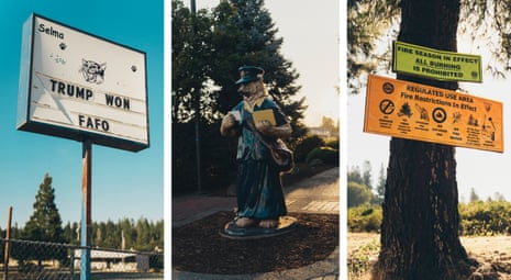 A sign that says 'Trump won. Fafo', a fiberglass bear statue outside, and 'no burn' signs on a tree