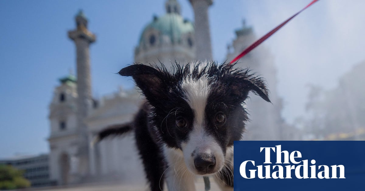 Bring a bottle: Viennese dog owners told to rinse pets’ urine from trees