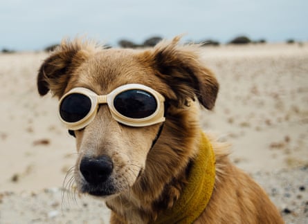 Savannah wears goggles as protection against the wind in Peru.