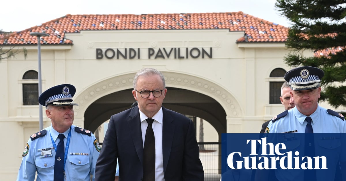 Anthony Albanese ‘ready for the fight’ to tighten firearms laws as National party and gun groups push back