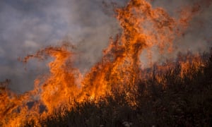 Flames rise from the La Tune Fire near Burbank, California in 2017.