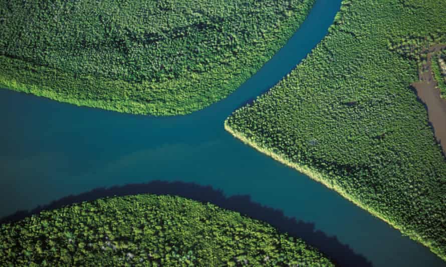 Aerial view of river and mangrove forest in Madagascar