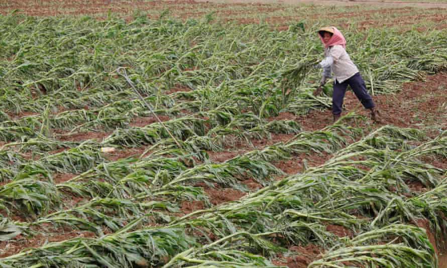 A farmer on the outskirts of Guangzhou