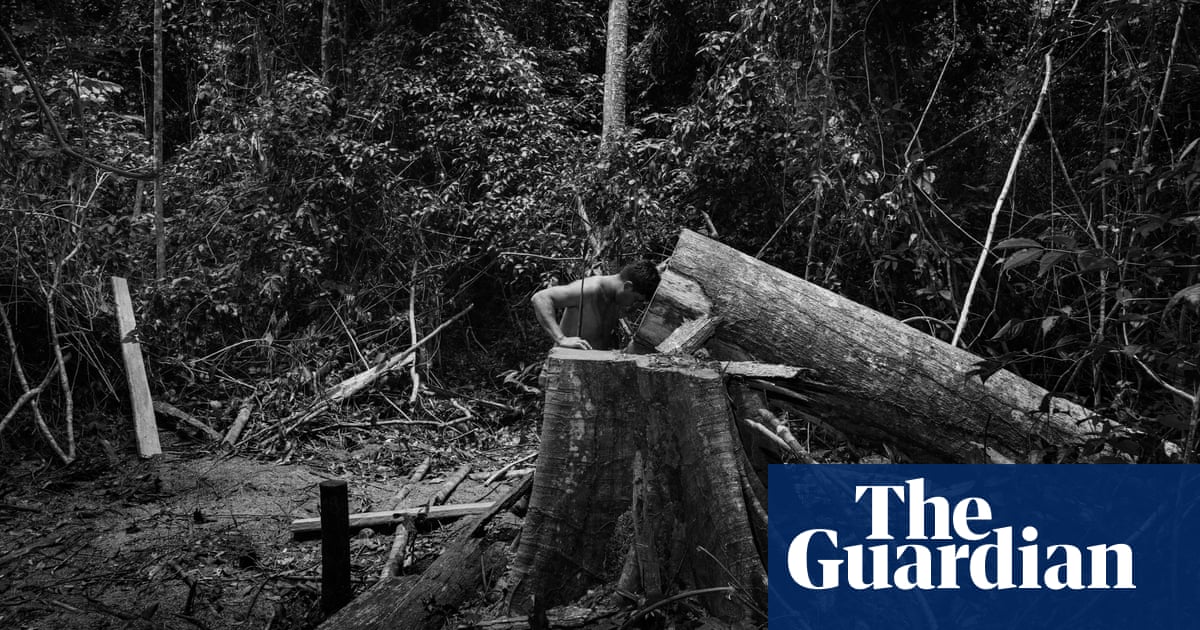 Amazônia: life and death in the Brazilian rainforest