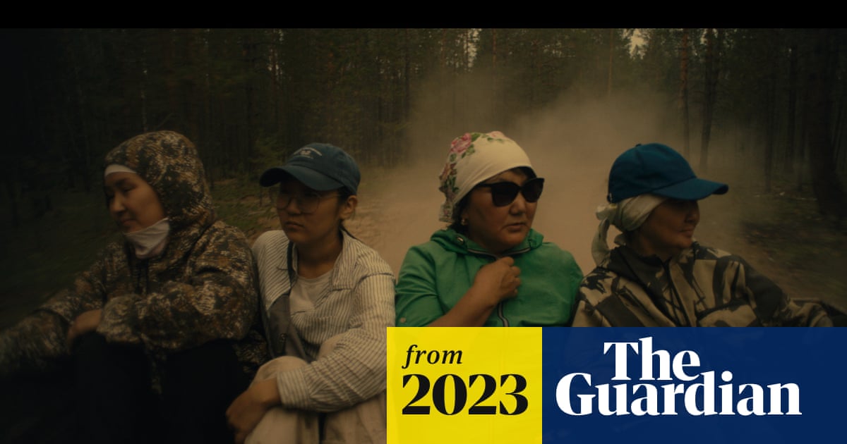 Paradise review – visually striking account of Siberian wildfires leans towards abstraction