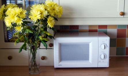 Best appliances to save cash when cooking Energy bills The Guardian