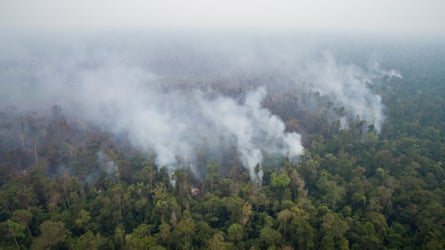 An aerial view of a burnt peatland forest in Ketapang district, West Kalimantan.