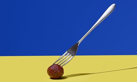 Protein ball on yellow surface, speared by fork against blue background