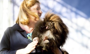 Wild Thang, a three-year-old Pekingese, competes with owner Ann Lewis.