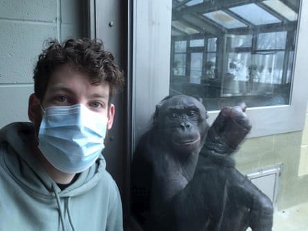 A man wearing a face mask with a bonobo next to a window