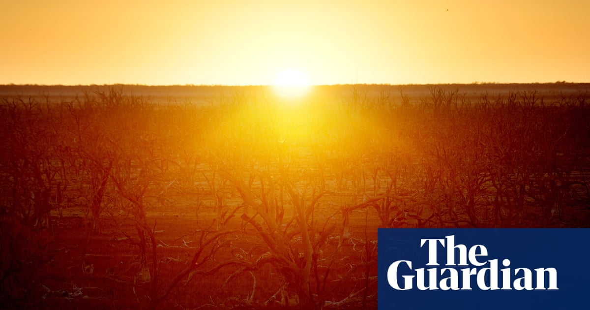 El Niño expected to develop in coming months, bringing hotter and drier weather to eastern Australia