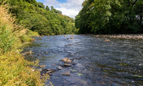 Reduced flow in the River Torridge, Devon