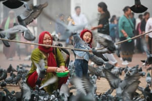 A woman and child feed a flock of pigeons