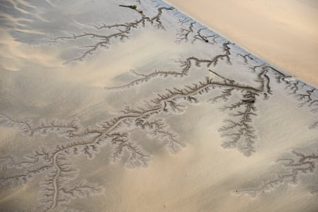 Tree-like patterns in river sediment on the banks of the Amazon