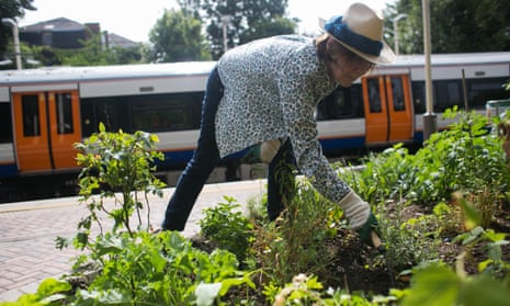 A community garden at a train station in London.