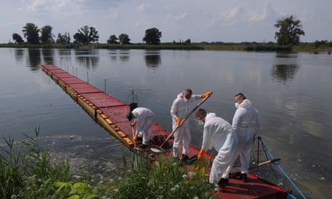 Volunteers in protective suits and gloves gather dead fish and snails along the eastern bank of the Oder River