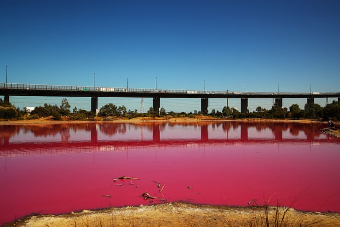 The Pink Lakes Of Australia In Pictures Environment The Guardian