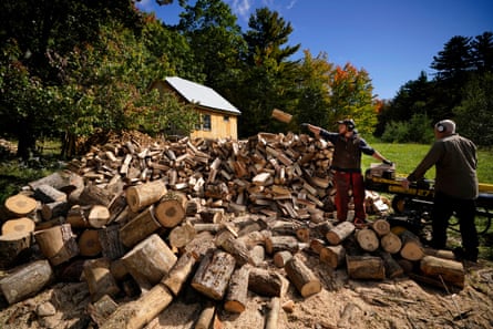 Men work with logs