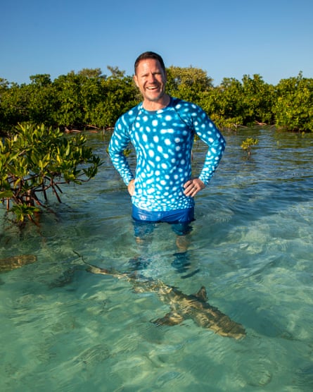 Steve Backshall standing in shallow water, a small shark in front of him