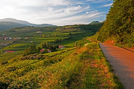 Valpolicella region