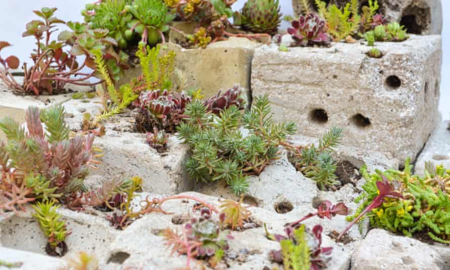 Living Blocks designed by Lawrence Parent and shown at Green Grads at Planted Living Blocks (4)