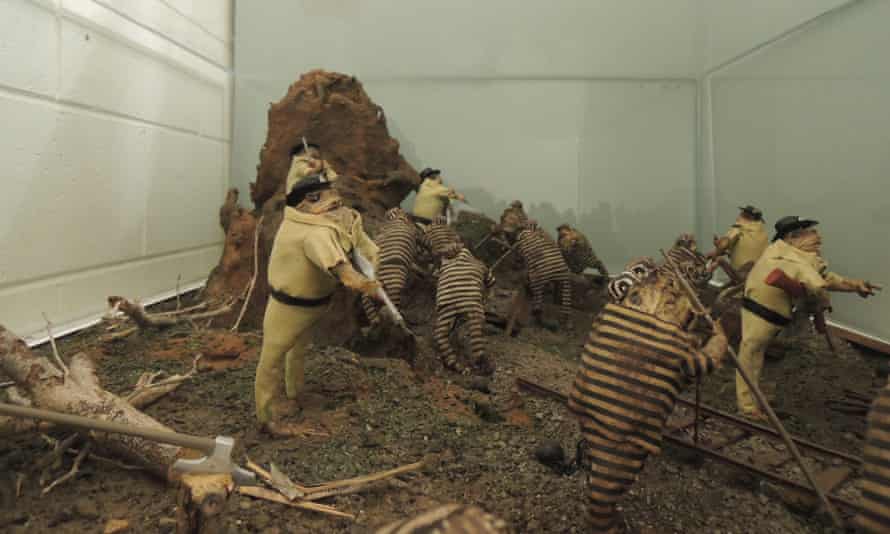The cane toad diorama from the Queensland Museum