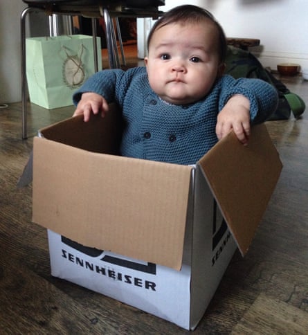 Boxe intelligente... Tsubame nel dicembre 2013.