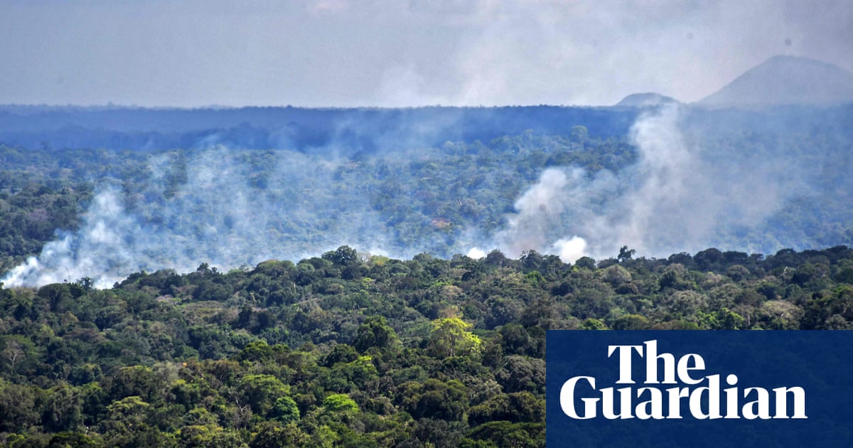 Disease outbreaks more likely in deforestation areas, study finds
