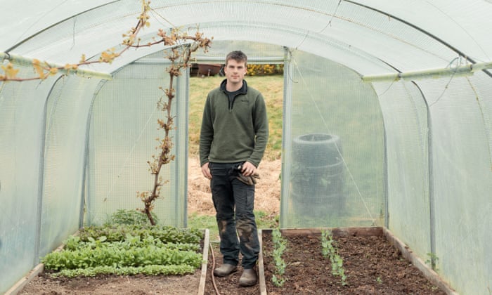 I Looked At Kale Peppers And Tomatoes And Fell In Love