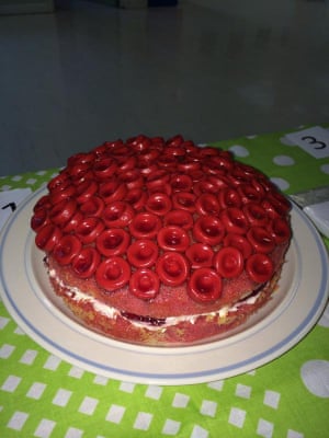 the cakes of science