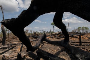 The aftermath of a fire on a ranch in the Jamanxim Forest protected reserve in the northern Brazilian state of Pará