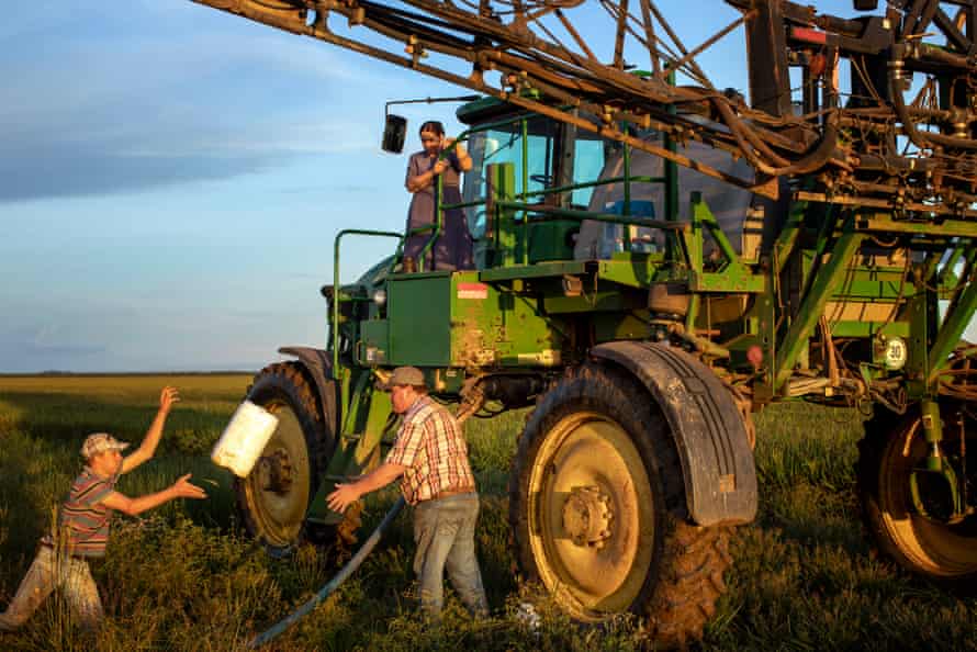 Women are rarely seen in the fields unless it is harvest time. Then you can see them sitting in the little car-sized John Deer cabins with their husbands.