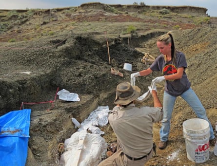 Robert DePalma and field assistant Kylie Ruble excavate fossil carcasses from the Tanis deposit.