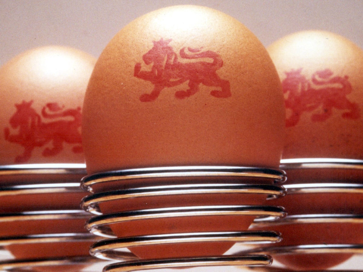 Egg Safety We Ve Cracked It Food Watchdog Tells Britons Food The Guardian
