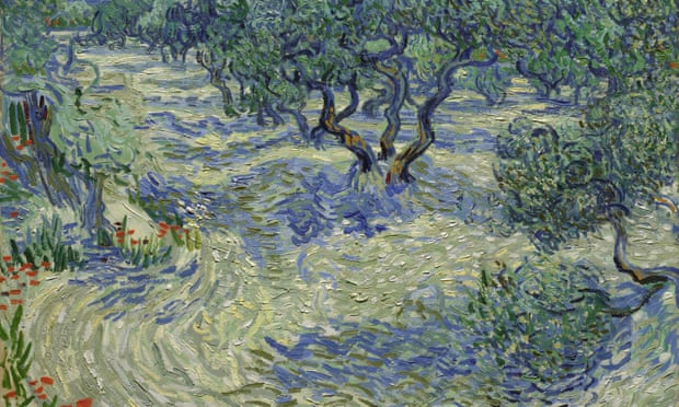 Vincent Van Gogh's Olive Trees